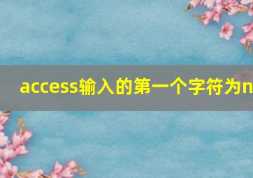 access输入的第一个字符为n