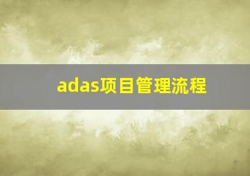 adas项目管理流程