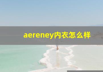 aereney内衣怎么样