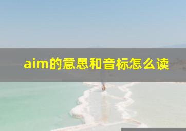 aim的意思和音标怎么读