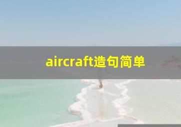 aircraft造句简单