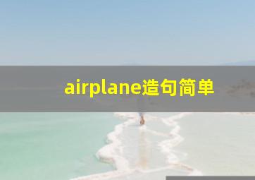 airplane造句简单