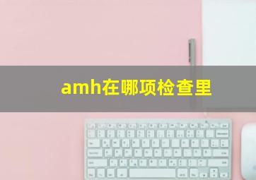 amh在哪项检查里