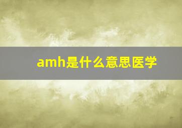 amh是什么意思医学