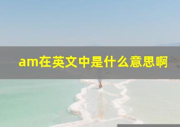 am在英文中是什么意思啊