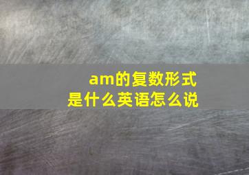 am的复数形式是什么英语怎么说