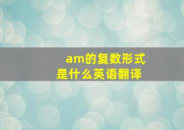 am的复数形式是什么英语翻译