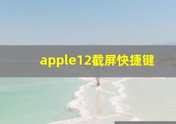 apple12截屏快捷键