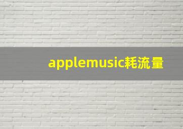 applemusic耗流量