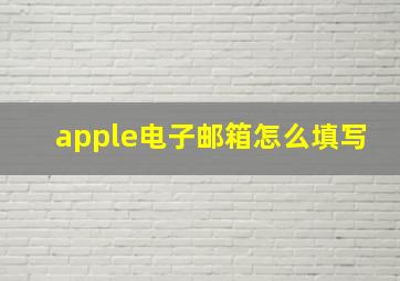 apple电子邮箱怎么填写