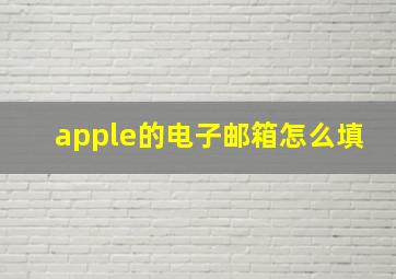 apple的电子邮箱怎么填