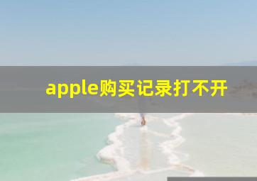 apple购买记录打不开