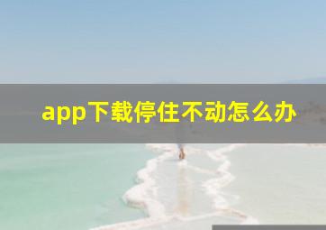 app下载停住不动怎么办