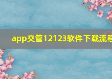 app交管12123软件下载流程