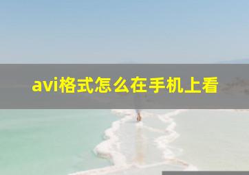 avi格式怎么在手机上看