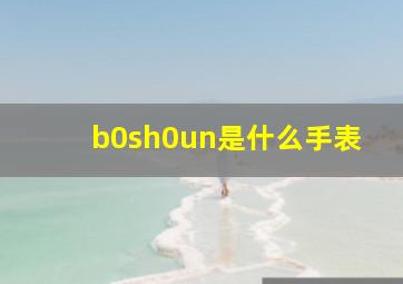 b0sh0un是什么手表