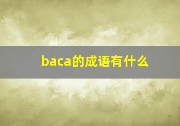 baca的成语有什么