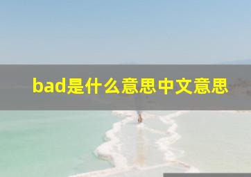 bad是什么意思中文意思