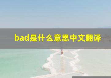 bad是什么意思中文翻译