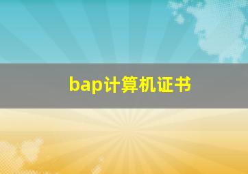 bap计算机证书