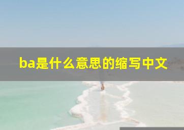 ba是什么意思的缩写中文