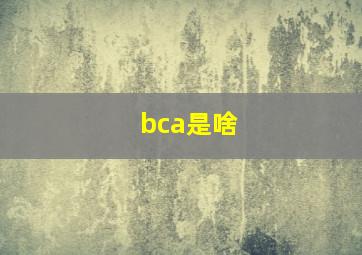 bca是啥