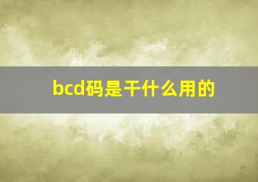 bcd码是干什么用的