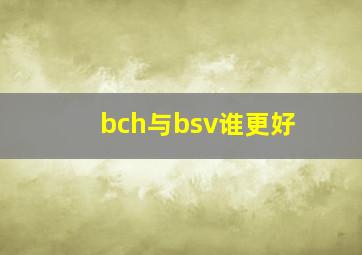 bch与bsv谁更好