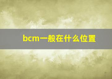 bcm一般在什么位置