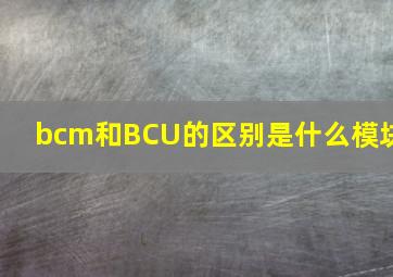 bcm和BCU的区别是什么模块