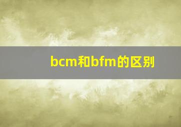 bcm和bfm的区别