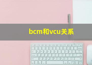 bcm和vcu关系