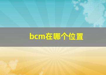 bcm在哪个位置