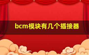 bcm模块有几个插接器