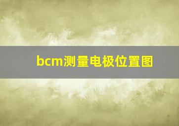 bcm测量电极位置图