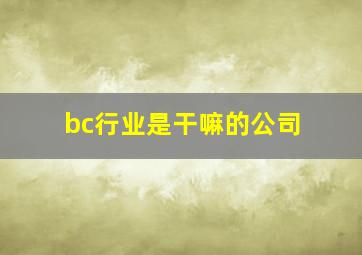 bc行业是干嘛的公司