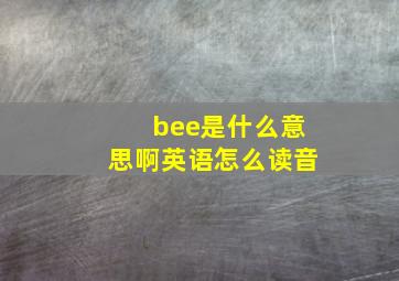 bee是什么意思啊英语怎么读音