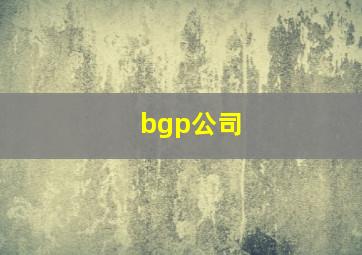 bgp公司