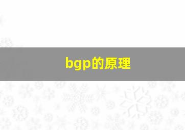 bgp的原理