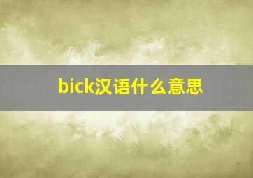 bick汉语什么意思