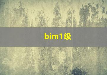 bim1级