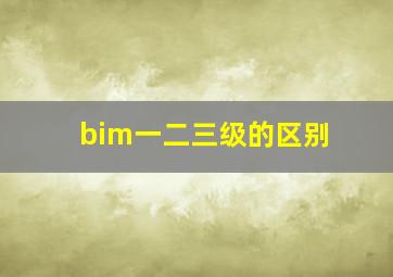 bim一二三级的区别