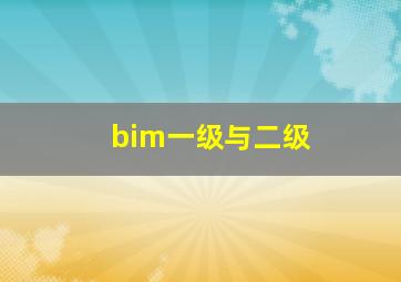 bim一级与二级