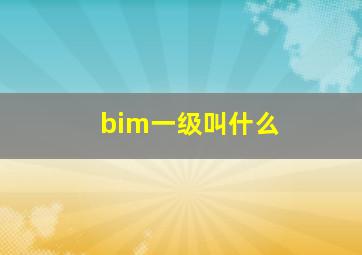 bim一级叫什么