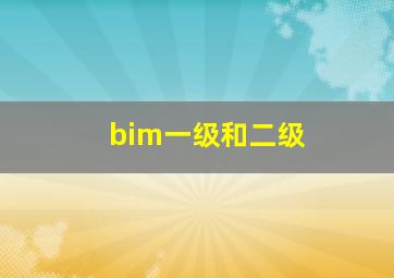 bim一级和二级