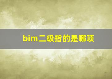 bim二级指的是哪项