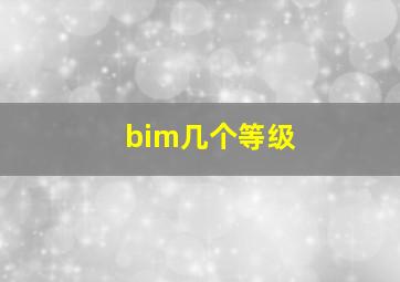 bim几个等级