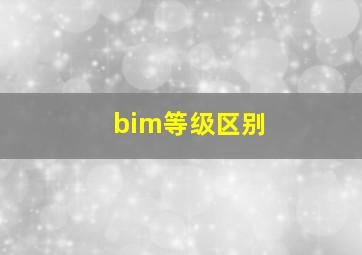 bim等级区别