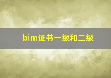 bim证书一级和二级