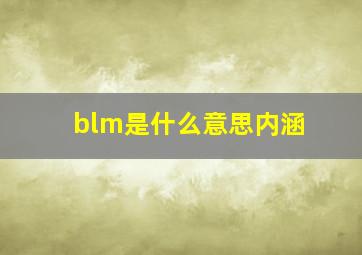 blm是什么意思内涵